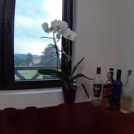 Maison Alana Βίλα Divčibare