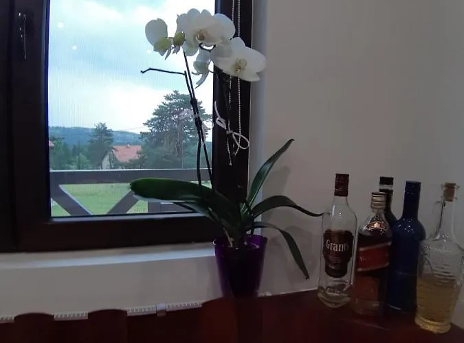 Maison Alana فيلة Divčibare